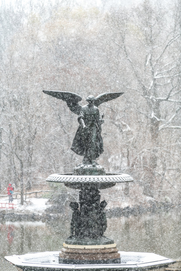 New York City Central Park Snow