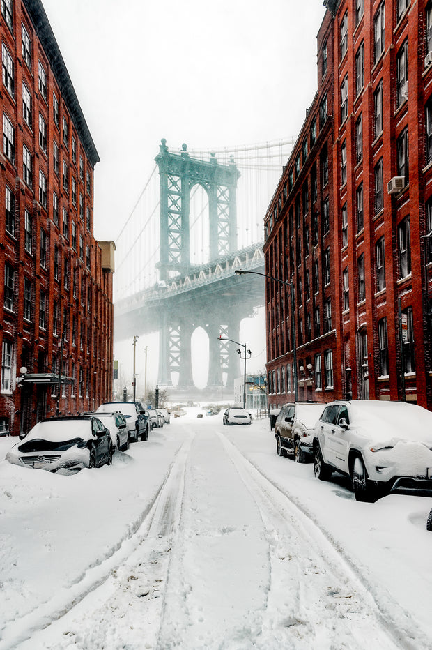Brooklyn New York Blizzard shot vertical