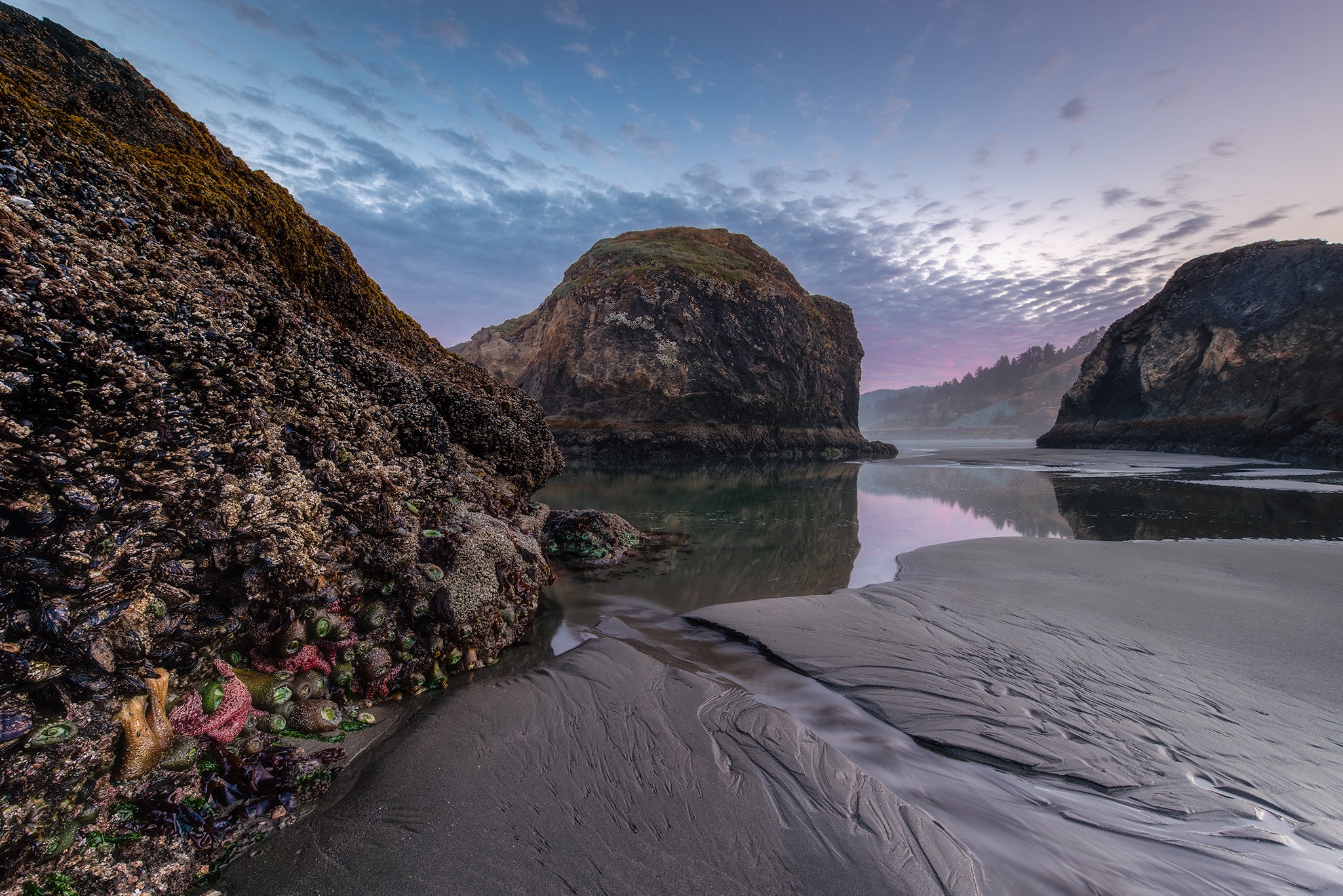 Oregon Coast Pistol River Sunrise – Getty Photography