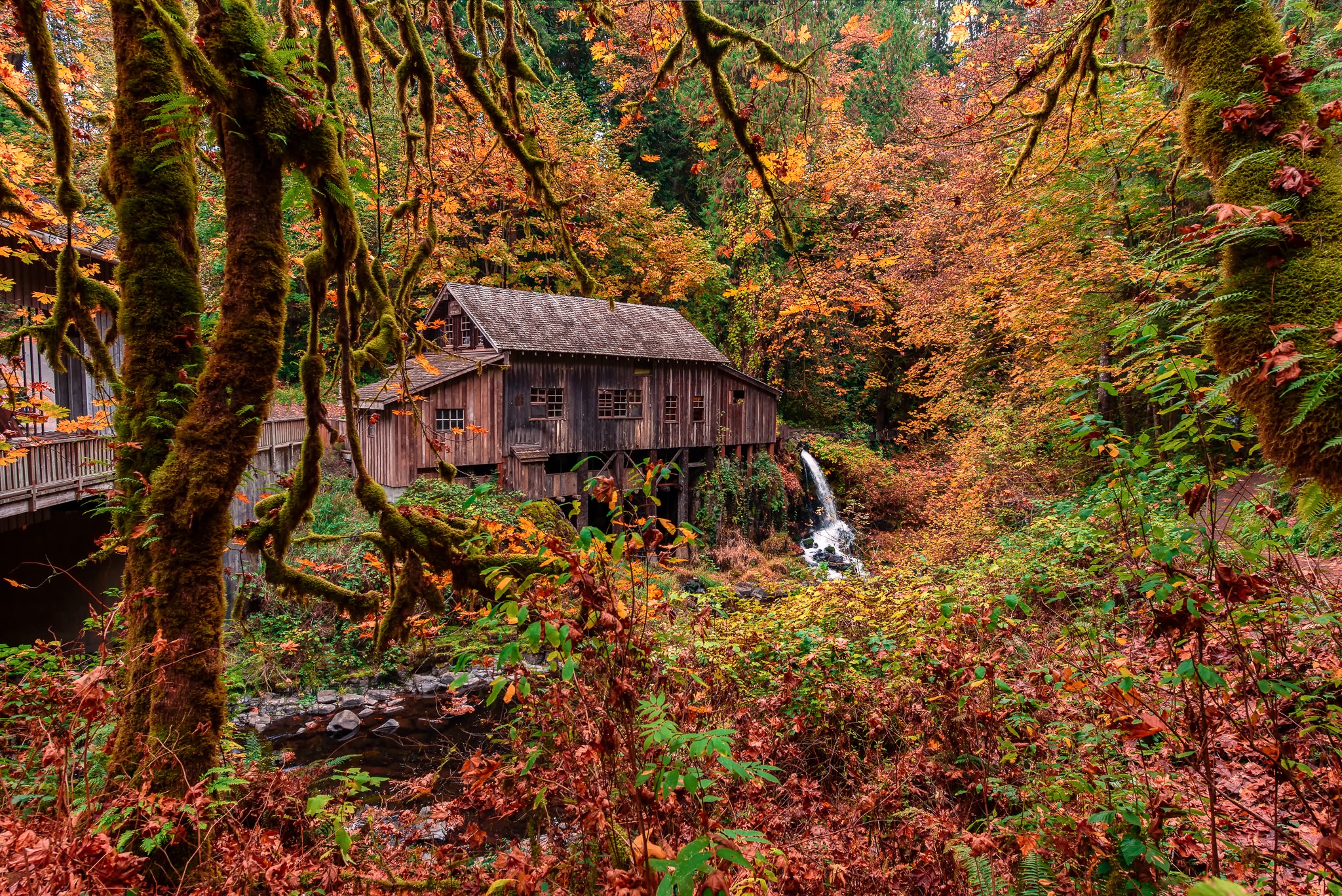 Fall Colours Mill Grist Mill Fall Colors – Getty Photography