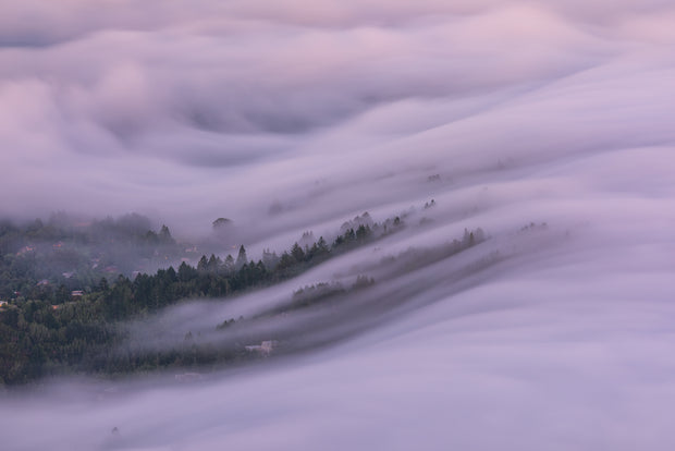Mill valley fog wave 