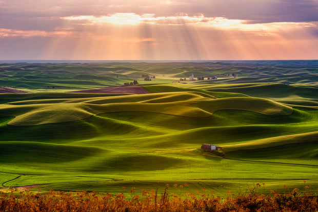 Palouse rolling hills with rays of light