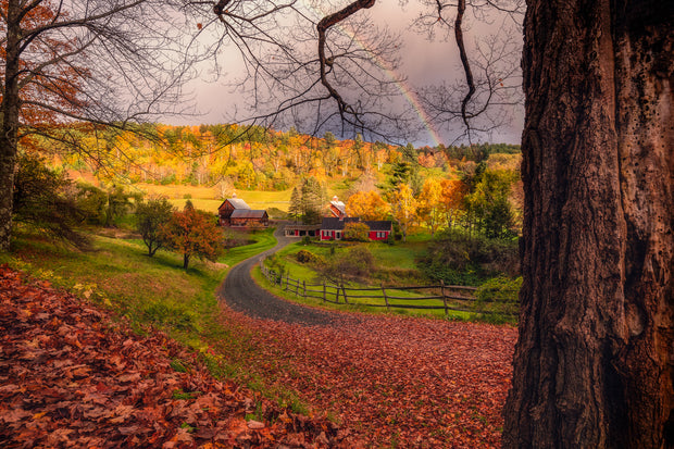 Vermont sleepy Hollow Rainbow